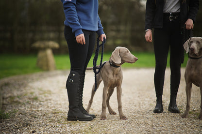 non leather dog collar on young and adult dog with county boots and short boots in the background 